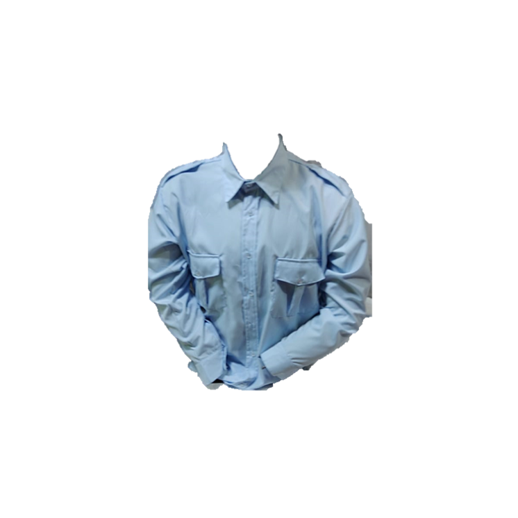 Camisa de tropa con Bordado en espalda personalizado