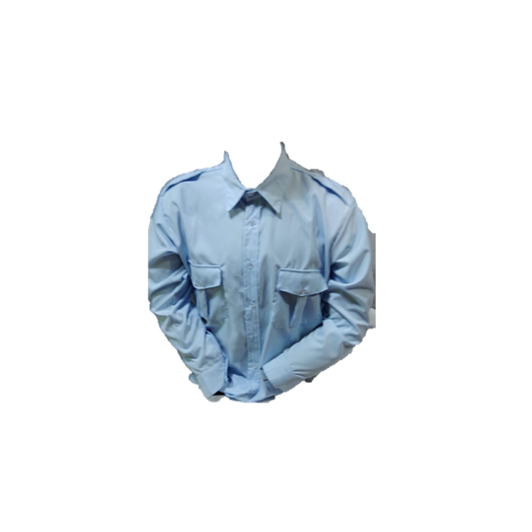 Camisa de tropa con Bordado en espalda personalizado